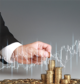 Corporate Finance & Investment